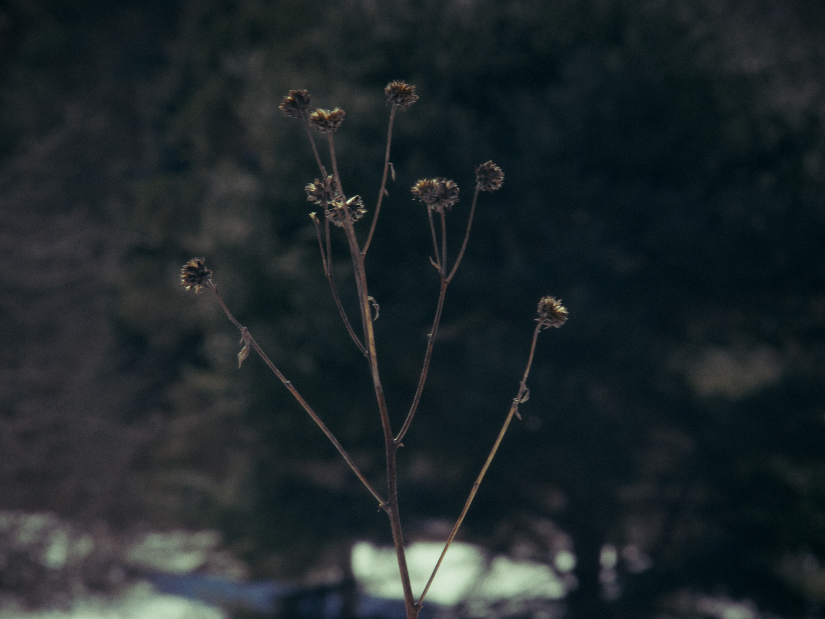 Still 5